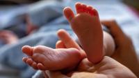 Diduga Daycare Ilegal, Polisi Evakuasi 11 Bayi di Sleman