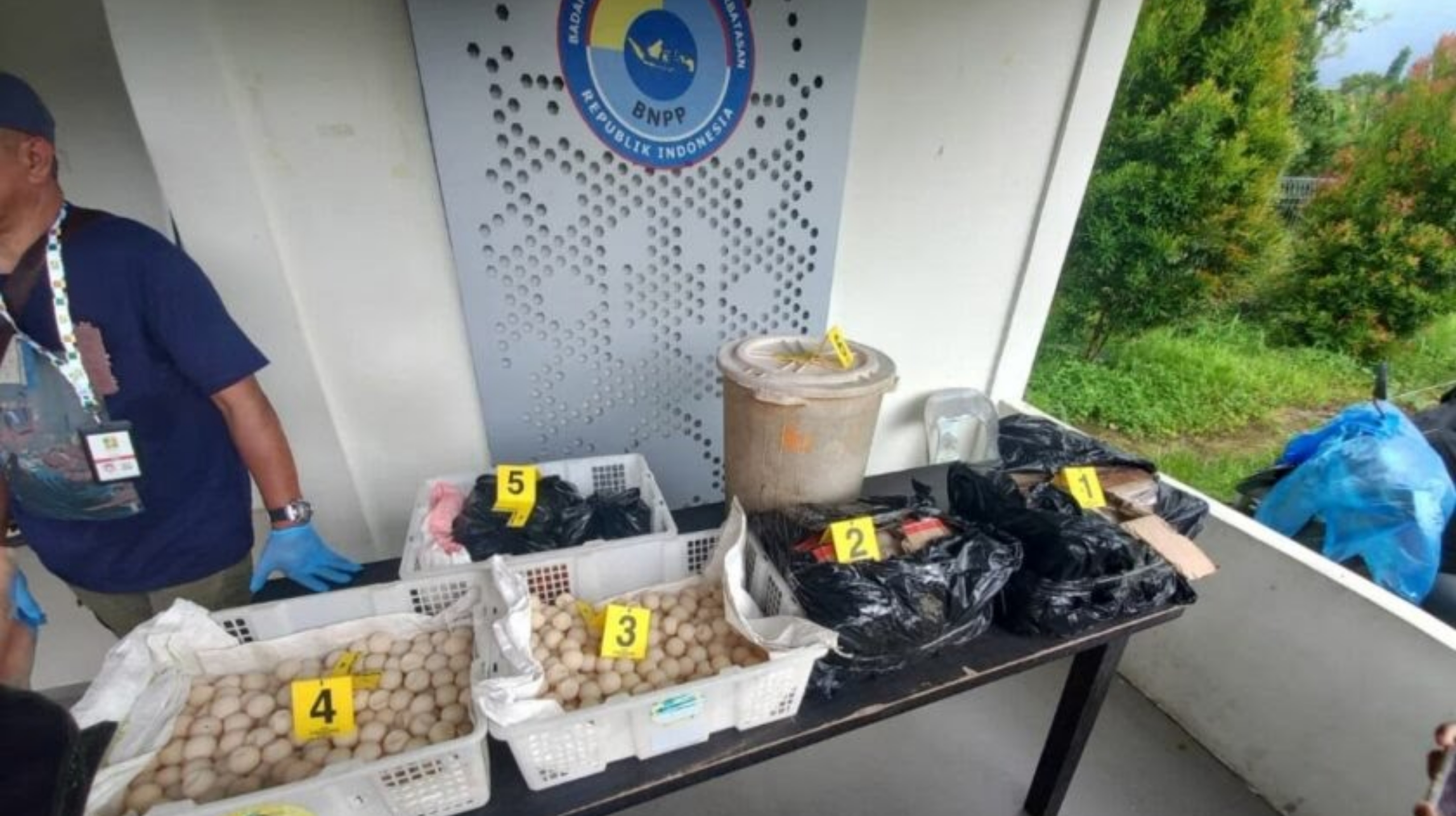 Barang bukti telur penyu yang diamankan oleh tim gabungan Pos Lintas Batas Negara (PLBN) Jagoi Babang, Sarawak Forestry Corporation (SFC) Malaysia, dan Satgas Perbatasan SSK II (Antara)