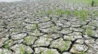 BMKG Imbau Warga DIY Soal Ancaman Kekeringan Akibat El Nino