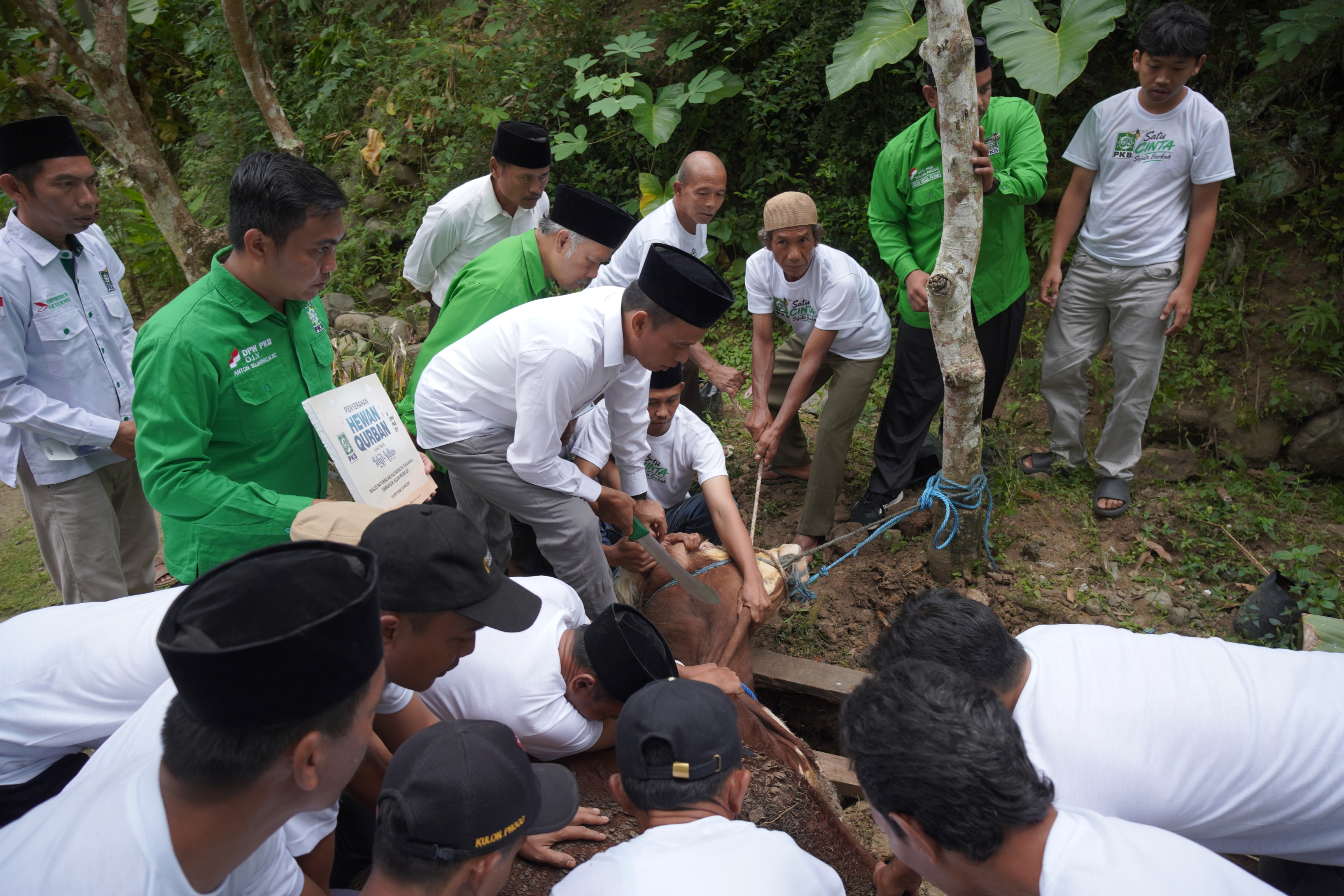 Rayakan Iduladha Bareng Masyarakat, PKB DIY Salurkan Daging Kurban Hingga ke Pelosok Desa