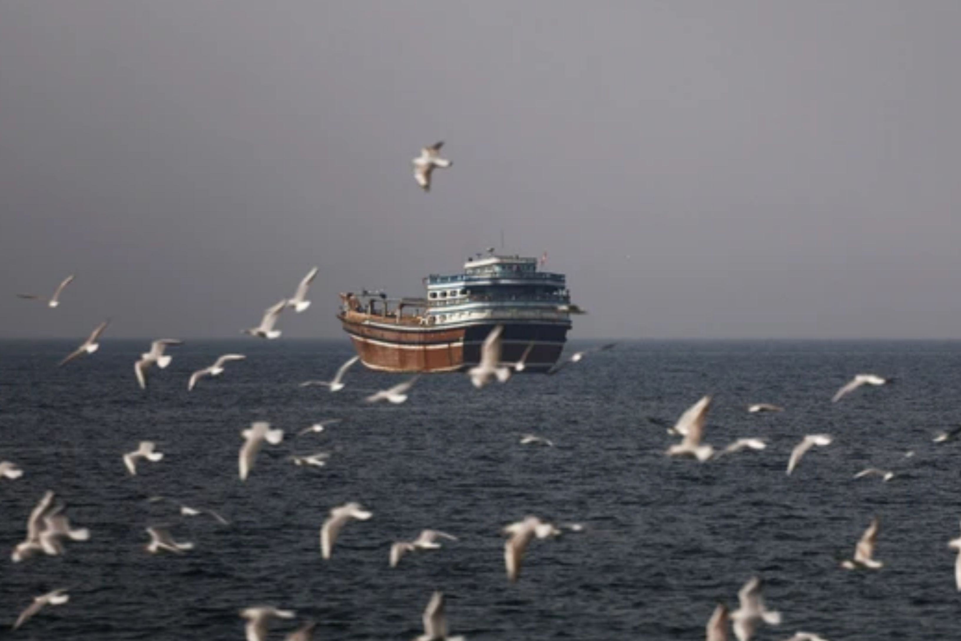 Burung-burung terbang di dekat perahu di Selat Hormuz di tengah konflik AS-Israel dengan Iran seperti terlihat dari Musandam, Oman pada Senin, 2 Maret 2026. (Reuters)