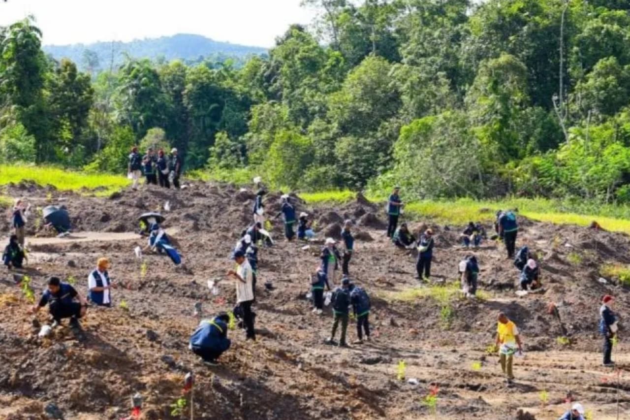 Penanaman pohon di lokasi yang sebelumnya merupakan tambang ilegal di kawasan Tahura Bukit Soeharto di Kecamatan Samboja, Kabupaten Kutai Kartanegara. (IDNVoice/Humas Otorita IKN)
