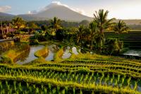 Jaga Warisan Subak, Kementerian PU Bangun Irigasi di 78 Lokasi Bali