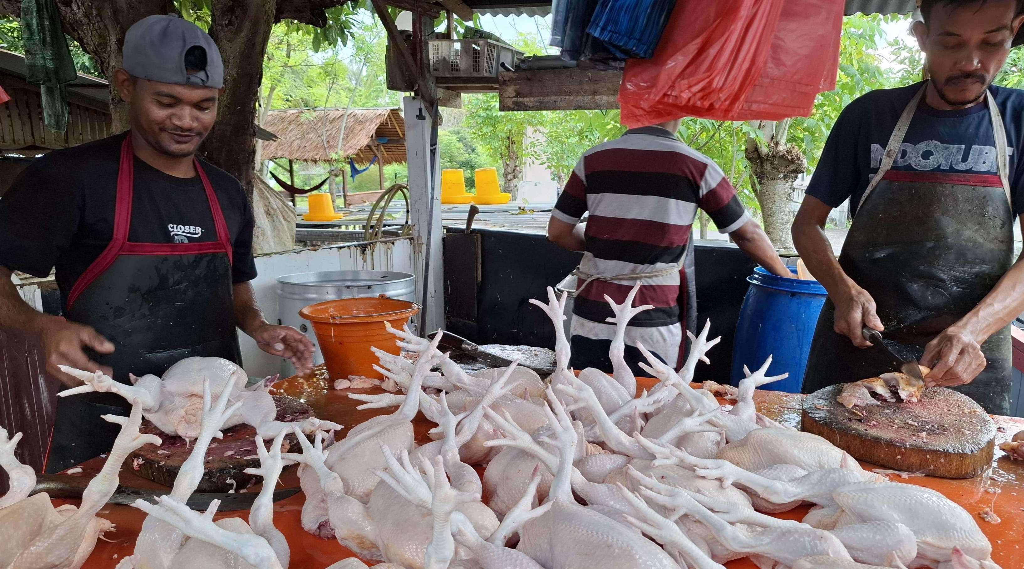 Ilustrasi: Pedagang ayam di pasar. (IDNVoice/RRI)