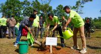 PKB Luncurkan Pesta Pohon, Gerakan Tanam 1 Juta Pohon Dimulai dari Jakarta