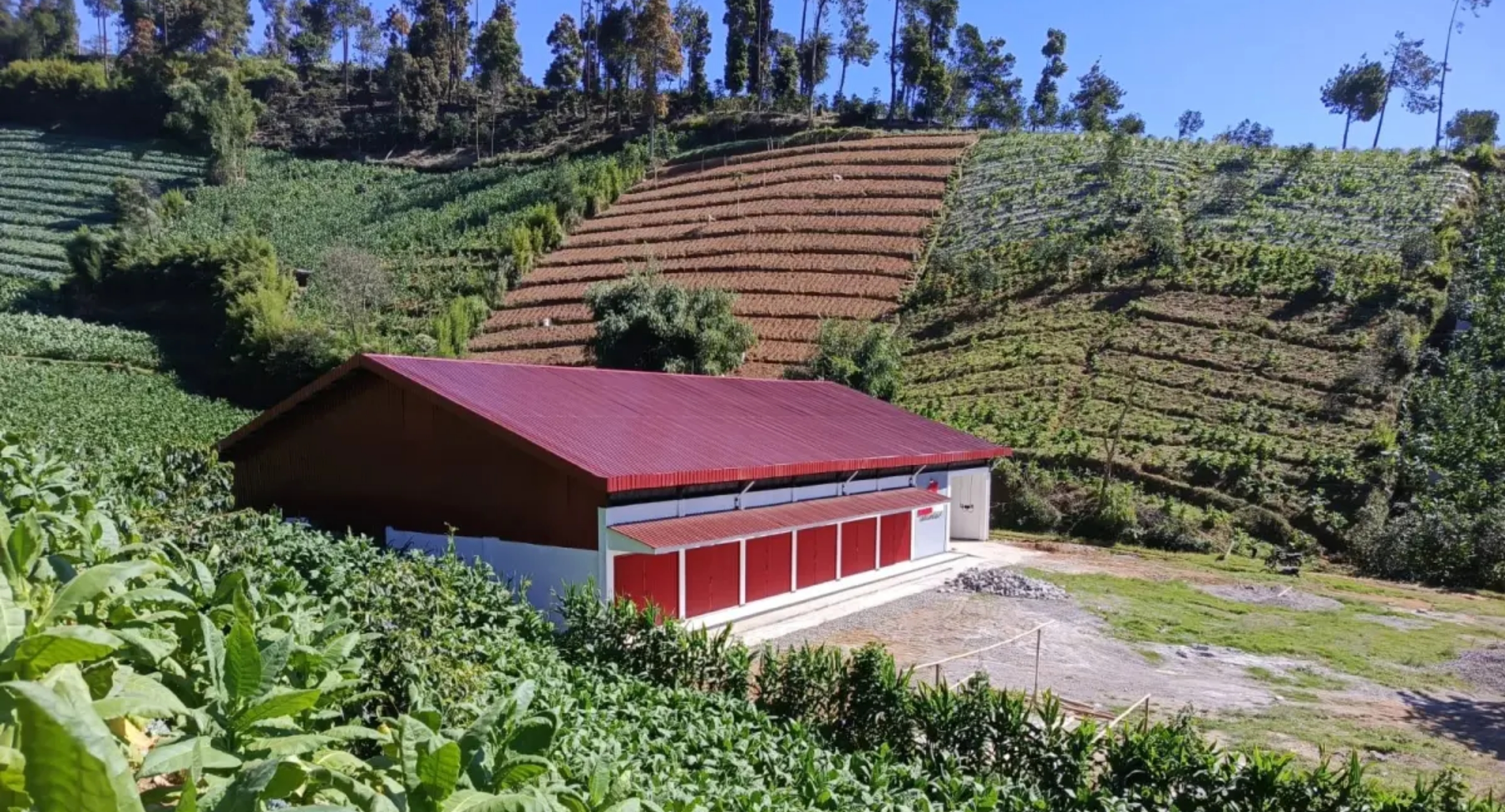 Lokasi Koperasi desa/Kelurahan Merah Putih (KDKMP) Desa Campurejo, Kecamatan Tretep, Kabupaten Temanggung, Jawa Tengah viral di media sosial karena dinilai tertutup perbukitan dan jauh dari permukiman waega. (IDNVoice/Istimewa)