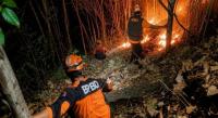 Karhutla di Lumajang Berhasil Dikendalikan, Dua Hektare Lahan Terbakar
