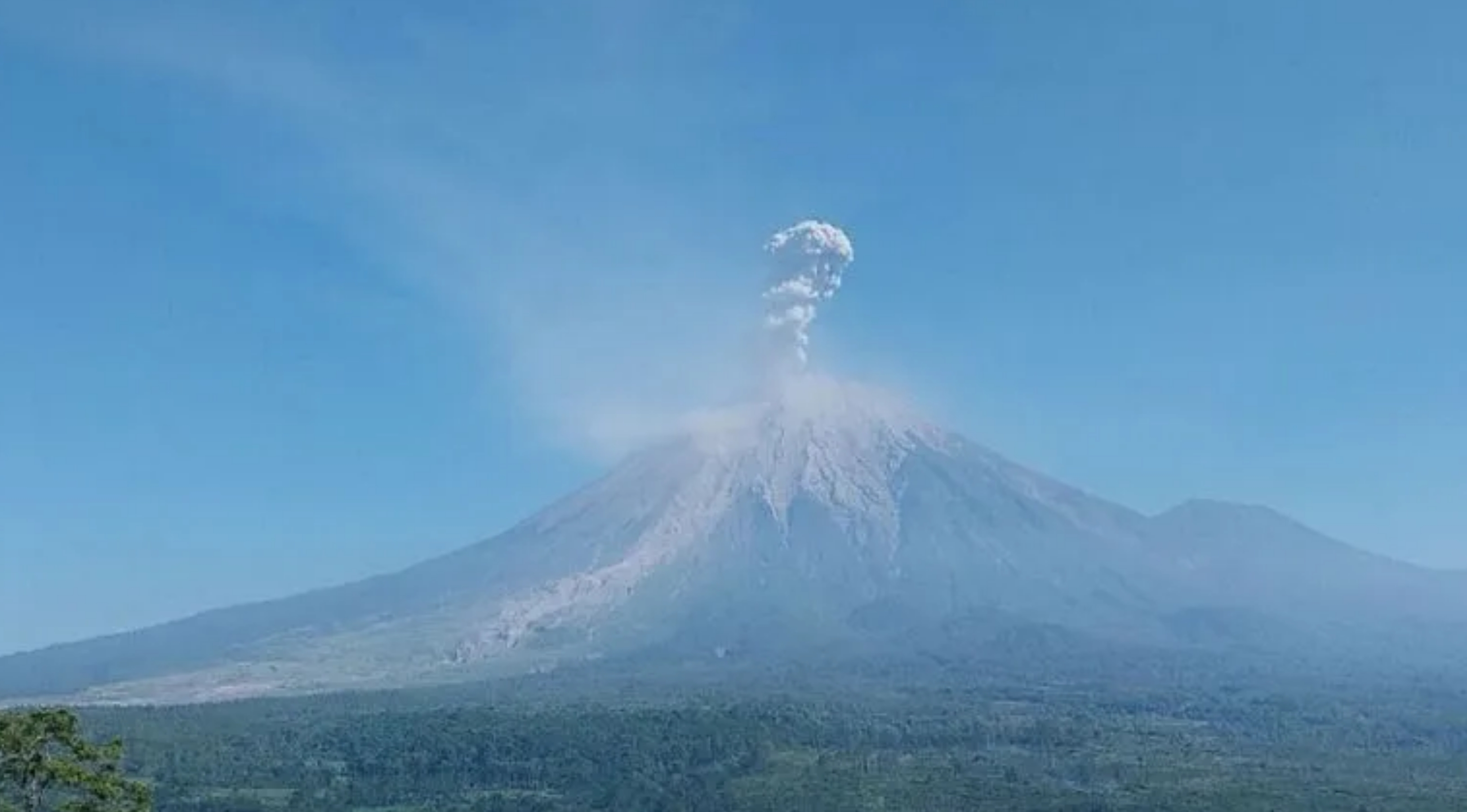 Gunung Semeru erupsi dengan tinggi kolom letusan sekitar 1,3 km di atas puncak pada Selasa pagi, 14 Juli 2026. (IDNVoice/PVMBG)