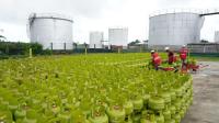 Komisi VI DPR RI Dorong KDKMP Jadi Pangkalan Resmi LPG 3 Kg, Perkuat Pendapatan Koperasi