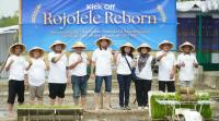 Muhammadiyah Hidupkan Kembali Rojolele Klaten, Dorong Kedaulatan Pangan hingga Ekspor