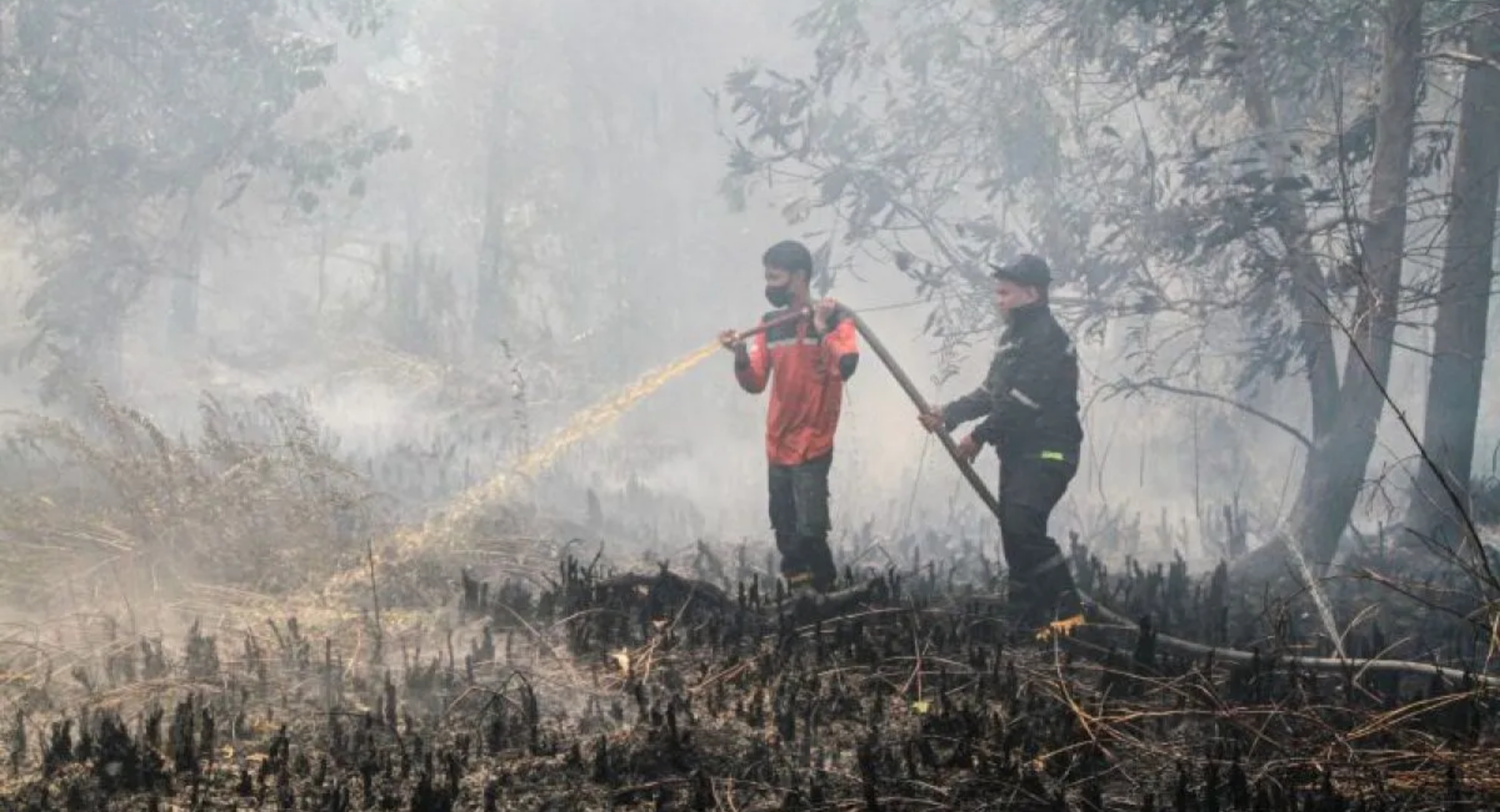 Ilustrasi: Petugas melakukan pemadaman kebakaran lahan di wilayah Kota Palangka Raya, Kalimantan Tengah. (IDNVoice/Antara Foto)