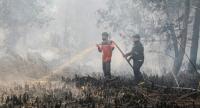 1.487 Titik Panas Terdeteksi di Kalimantan, BNPB Waspadai Ancaman Karhutla Meluas