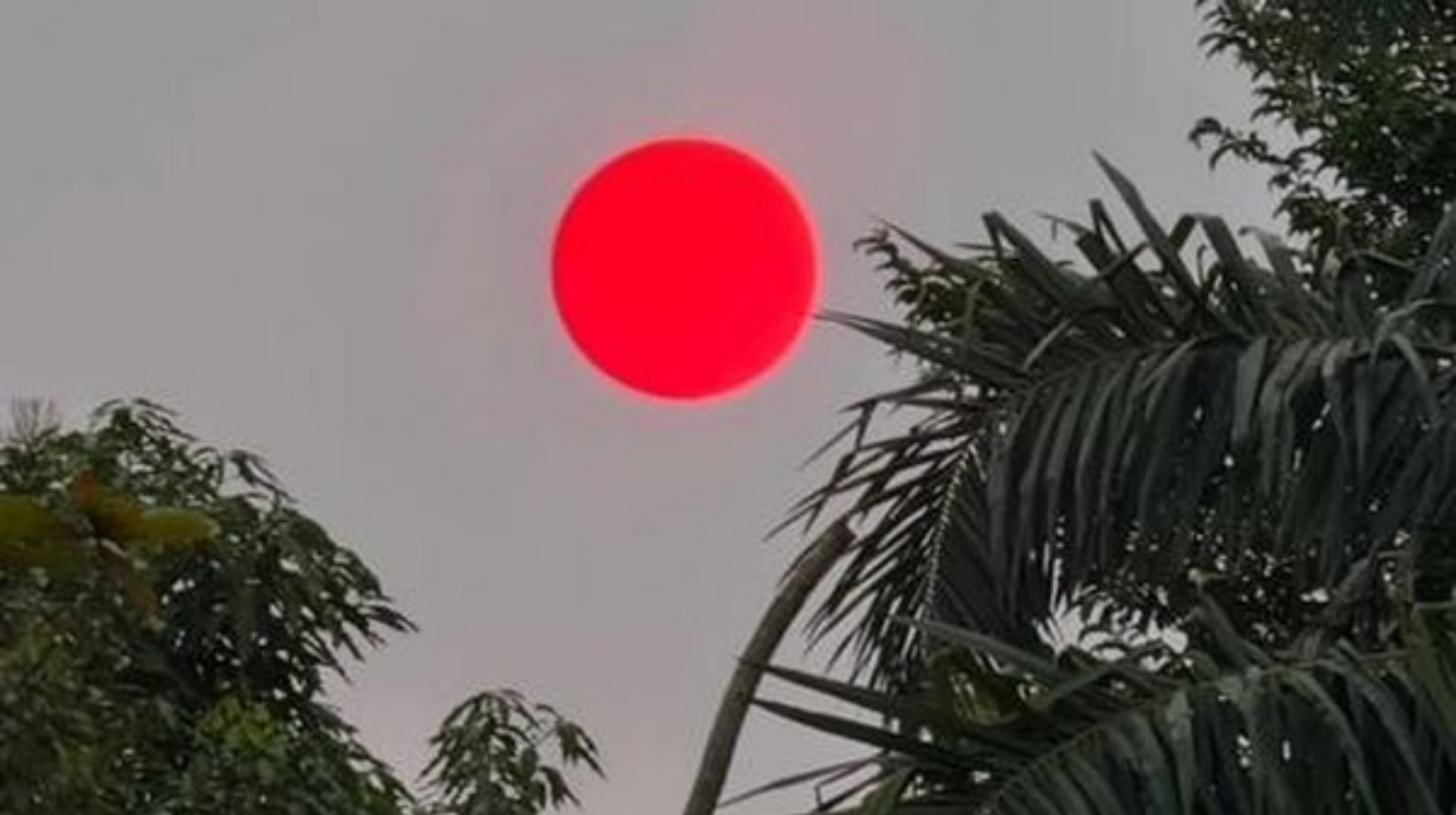 Matahari terlihat berwarna merah menyala di langit Kota Palangka Raya, Kalimantan Tengah pada Kamis sore, 20 Agustus 2026. (IDNVoice/DK-Istimewa)