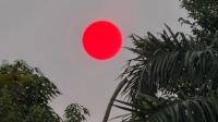 Matahari Berubah Merah di Langit Palangka Raya, BMKG Ungkap Kaitannya dengan Kabut Asap Karhutla