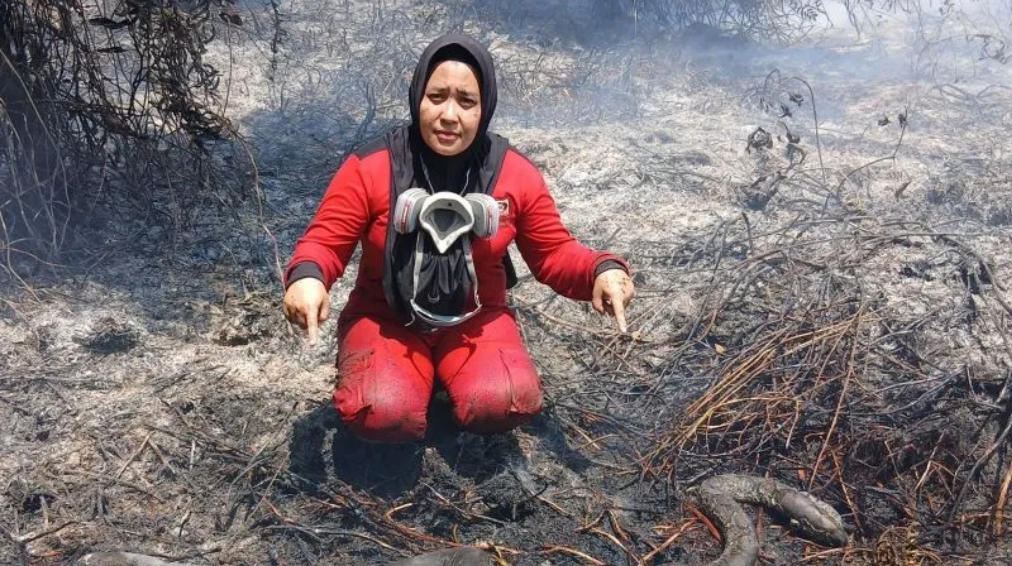 Tim Manggala Agni menemukan bangkai ular yang terbakar pada lahan terdampak Karhutla di Kecamatan Muara Pawan, Kabupaten Ketapang pada Jumat, 21 Agustus 2026. (IDNVoice/Manggala Agni)