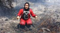 Tak Hanya Hutan, Karhutla Ketapang Juga Mengancam Satwa Liar