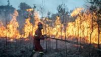 Bukan Sekadar Karhutla, Lahan Sawit Sangaja Dibakar Demi Tekan Biaya Pembukaan Kebun