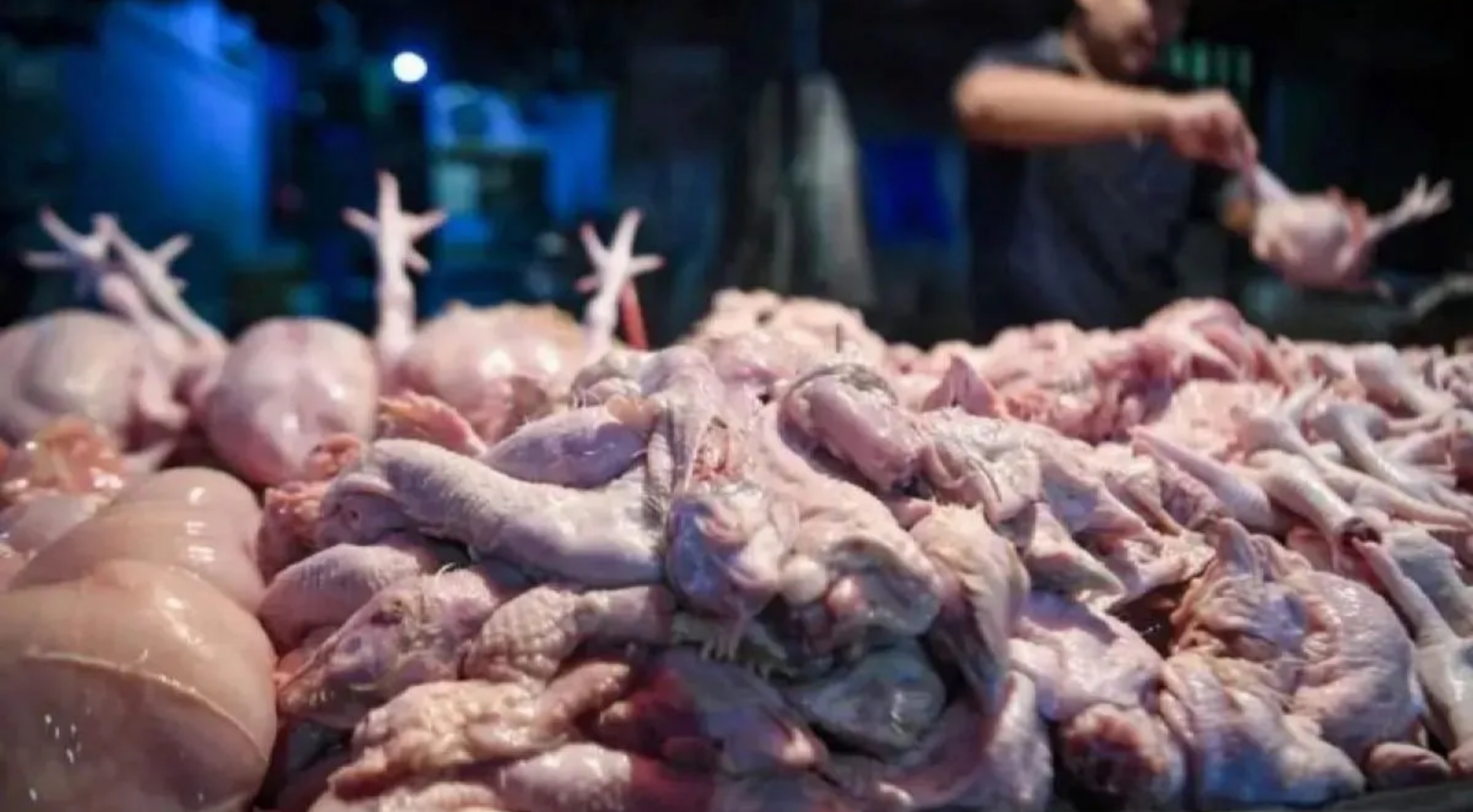 Ilustrasi: Penjual daging ayam melayani pembeli di Pasar Kebayoran Lama, Jakarta pada Senin, 2 Maret 2026. (IDNVoice/Antara Foto)