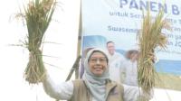 KPK Panggil Kepala Bulog Jateng dan 37 Saksi, Usut Dugaan Korupsi Bansos Beras PKH