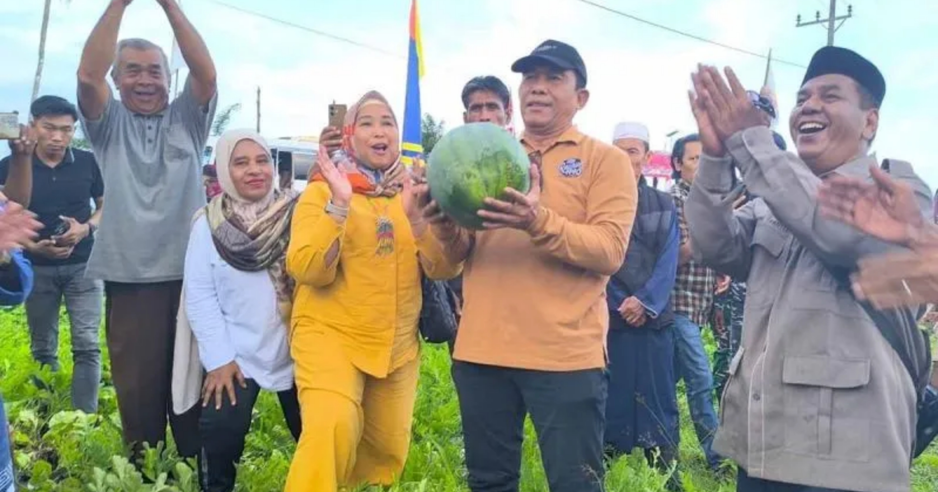 Bupati Simeulue Muhammad Nasrun Mikaris saat panen perdana semangka di Simeulue, Aceh pada Rabu, 9 September 2026. (IDNVoice/Humas Pemkab Simeulue)