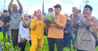 Petani Simeulue Diajak Pasok SPPG, Semangka Lokal Didorong Masuk Program MBG
