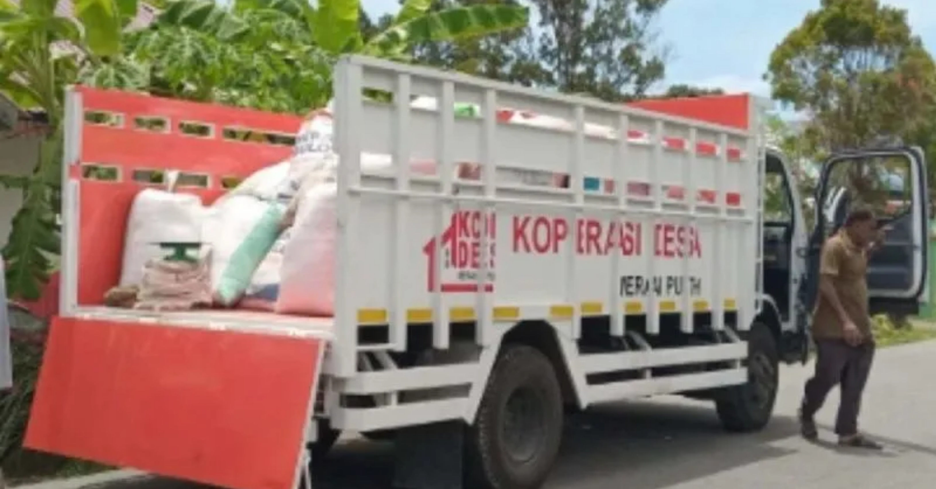 Truk KDKMP Desa Linggi saat membeli gabah petani di Simeulue, Aceh pada Senin, 7 September 2026. (IDNVoice/Salmulyadi)