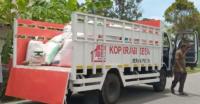 KDKMP Desa Linggi Mulai Serap Gabah Petani, Harga Panen di Simeulue Didorong Lebih Stabil