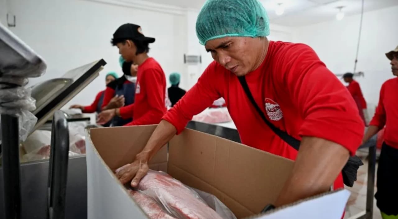 Pekerja mengemas ikan tuna untuk dikirim ke luar daerah di Kampung Nelayan Merah Putih (KNMP) Tongke-Tongke, Kabupaten Sinjai, Sulawesi Selatan (Sulsel). (IDNVoice/KKP)