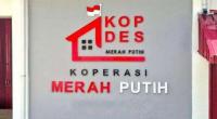 190 KDKMP Maluku Tenggara Disiapkan Jadi Penggerak Ekonomi Desa
