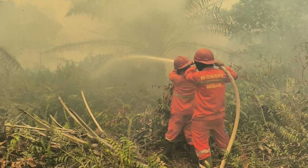  Petugas Manggala Agni masih berjibaku memadamkan api di lokasi kebakaran hutan wilayah Sumatera Selatan. Kondisi karhutla saat ini semakin masif karena meningkatnya El Nino dan kemarau. (IDNVoice/Manggala Agni)