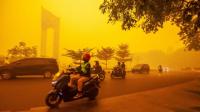 BMKG Deteksi Kabut Asap Karhutla di 26 Wilayah Indonesia, Pangkalan Bun Masuk Kategori Udara Berbahaya