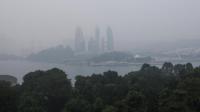 Singapura Ungkap 7 Perusahaan Indonesia yang Diduga Picu Kabut Asap Lintas Batas