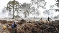 Api Kebakaran Gambut Bisa Menjalar di Bawah Tanah, Ini Bahaya dan Cara Mencegahnya