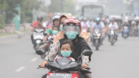 IDAI Peringatkan Bahaya Asap Karhutla bagi Anak, Partikel PM2,5 Bisa Masuk hingga Aliran Darah